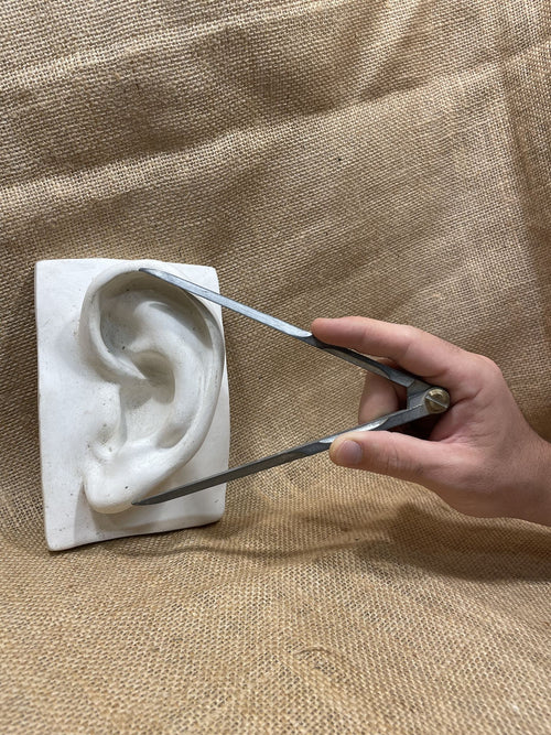 Misurazione delle proporzioni con compasso su calco in gesso dell'orecchio, durante il corso di Scultura Classica - Fondamenti a Milano